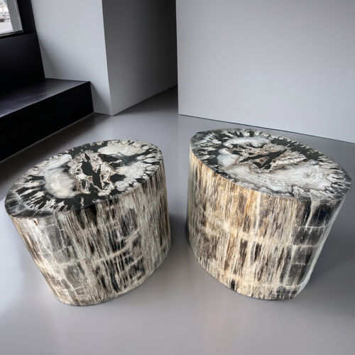 Moderner Beistelltisch - OLYMPUS - ARRELART - versteinertes Holz / Gestell aus versteinertem Holz / oval