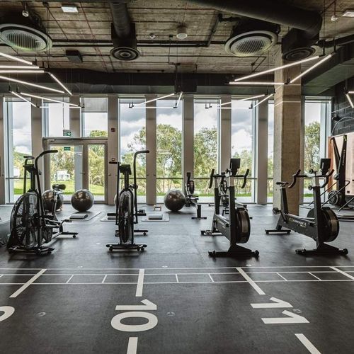 Gummibodenbelag - ENDURANCE - Pavigym - für den Innenraum / für Fitnessstudio / für professionellen Gebrauch