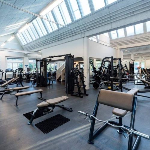 Gummibodenbelag - ENDURANCE S&S - Pavigym - für den Innenraum / für Fitnessstudio / für professionellen Gebrauch
