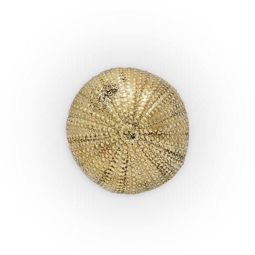 Moderner Möbelknopf - URCHIN OC2026 - PullCast - gebürstetes Messing / poliertes Messing / aus Altmessing