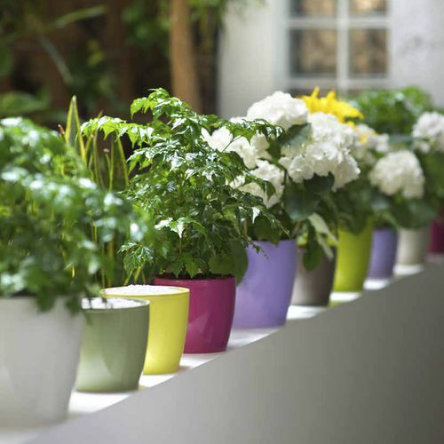 Kunststoff-Pflanzgefäß - MADEIRA LUXY - TeraPlast - freistehend