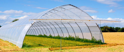 Gewächshaus für Gewerbegebrauch - TUNNELART PC - Europrogress - für Hobbygärten / Einfachtunnel / Polycarbonat