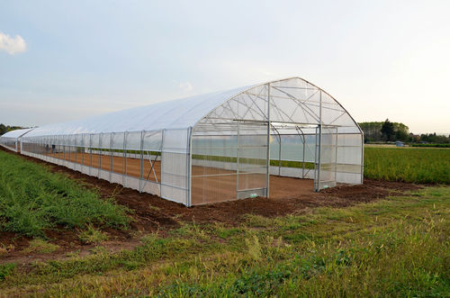 Gewächshaus für Gewerbegebrauch - TUNNELART PV - Europrogress - für Hobbygärten / Einfachtunnel / Polycarbonat