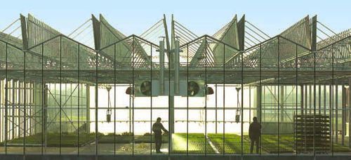 Gewächshaus für Gewerbegebrauch - OPENVENLO R - CMF GROUPE - für Produktionszwecke / mit vollständiger Öffnung / Venlo