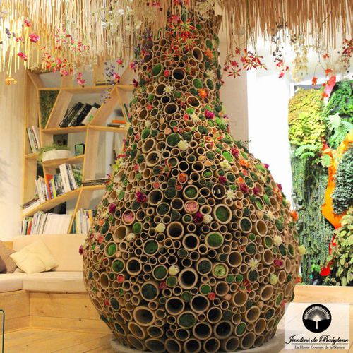 Innenraumbegrünung - THE MAJESTIC BAMBOO BAOBAB - Jardins de Babylone
