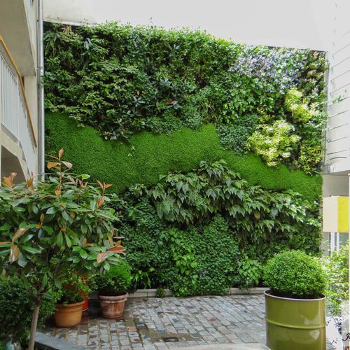 Stabilisierte Wandbegrünung - JULES AND JIM HOTEL PARIS - Jardins de Babylone - modulare Platte / natürlich / Polster Moos