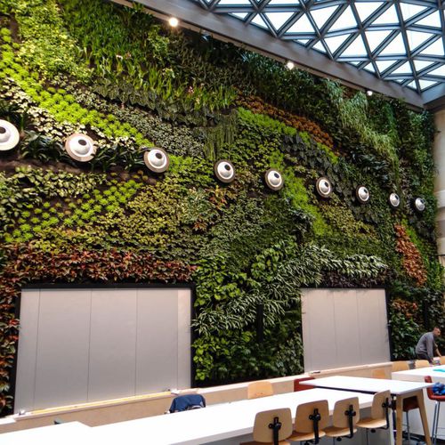 Stabilisierte Wandbegrünung - CRÉDIT AGRICOLE IMMOBILIER - Jardins de Babylone - natürlich / für den Innenraum / für Garten