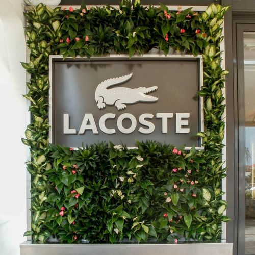 Stabilisierte Wandbegrünung - LACOSTE BRAND - Jardins de Babylone - modulare Platte / natürlich / dichtes Blattwerk
