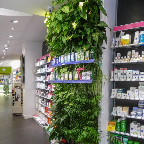 Stabilisierte Wandbegrünung - BASIRE PHARMACY - Jardins de Babylone - modulare Platte / natürlich / dichtes Blattwerk