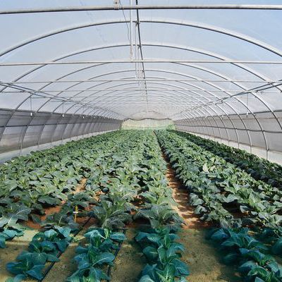 Gewächshaus für Gewerbegebrauch - 9,30M - Serres Jrc - für Hobbygärten / einkuppelig / Aluminiumstruktur