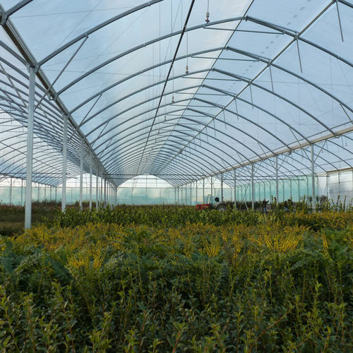 Gewächshaus für Gewerbegebrauch - 1.60M ATLANTIQUE HORTICULTURAL - Serres Jrc - für Hobbygärten / mehrkuppelig / Aluminiumstruktur