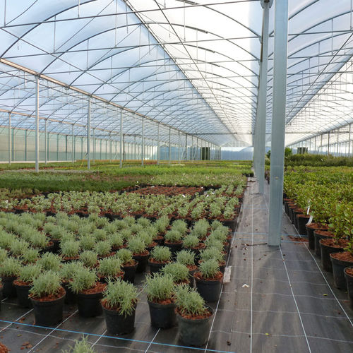 Gewächshaus für Gewerbegebrauch - 9.60M ATLANTIQUE HORTICULTURAL - Serres Jrc - für Hobbygärten / mehrkuppelig / Aluminiumstruktur