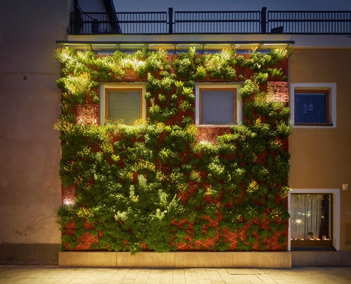 Wandbegrünung für Außenbereich - CARPENTERS - butong - Modularbaustrukturen