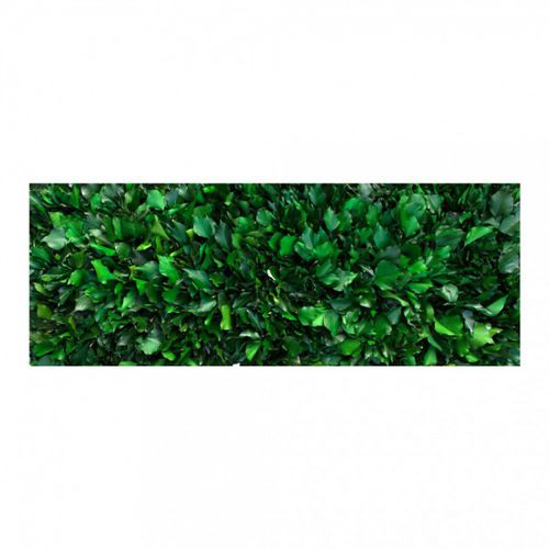 Stabilisierte Wandbegrünung - GVS-500-16 - green Habitat - modulare Platte / natürlich / für den Innenraum