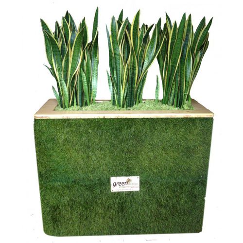 Holz-Pflanzkübel - GVS-460-16 - green Habitat - rechteckig / maßgefertigt / auf Rollen