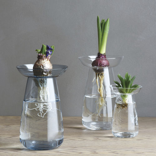 Moderne Vase - AQUA CULTURE - KINTO - Glas
