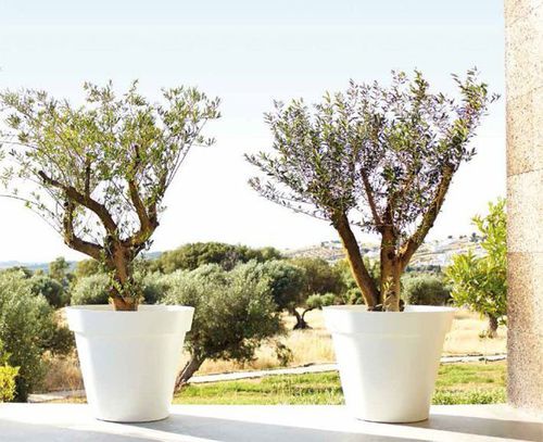 Polypropylen-Pflanzgefäß - CAPRI - Artevasi, S.A - rund