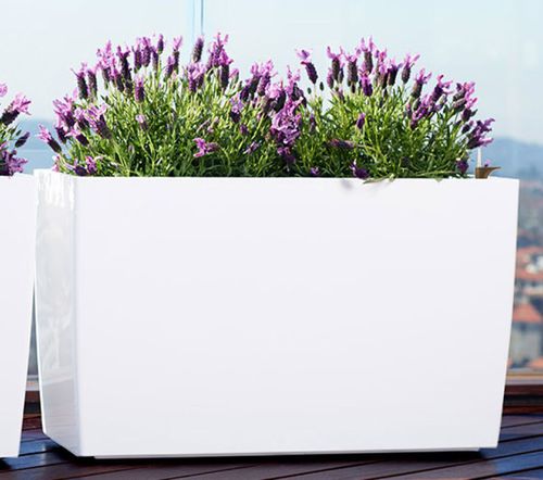 Polypropylen-Pflanzkübel - MARBELLA BOX  - Artevasi, S.A - rechteckig / auf Rollen / mit automatischer Bewässerung