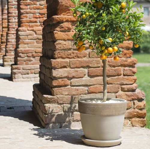 Terrakotta-Pflanzgefäß - VULCANO GRAFFIATO : PALLADIO  - DEGREA - rund