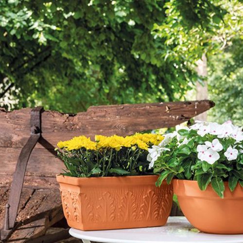 Terrakotta-Pflanzkübel - CLASSICA : ROMA WINDOW BOX - DEGREA - rechteckig / modern / für Außenbereich