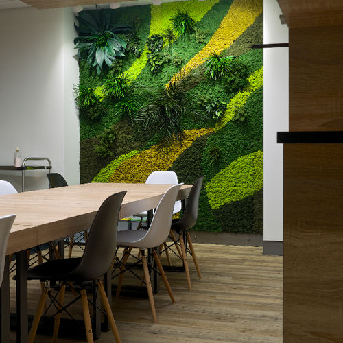 Akustik-Wandpaneel - CUSTOM+PLANTS  - Greenarea - aus stabilisierten Pflanzen / rechteckig / für Büro