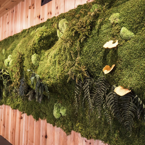 Akustik-Wandpaneel - MOSS&PLANTS MID - Greenarea - aus stabilisierten Pflanzen / rechteckig / für Büro