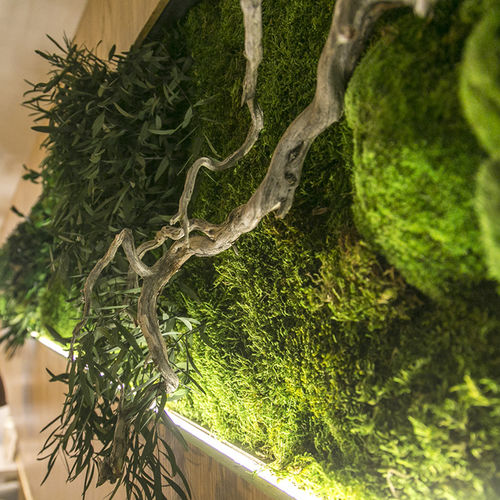 Stabilisierte Wandbegrünung - MOSS&PLANTS MID 3D  - Greenarea - kundenspezifisch / natürlich / dichtes Blattwerk
