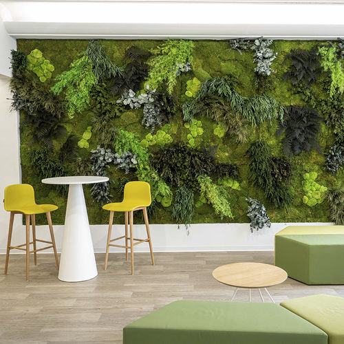 Stabilisierter vertikaler Garten - MOSS&PLANTS MID - Greenarea - modulare Platte / Polster Moos / für Büro