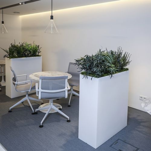 Maßgefertigter Pflanzkübel - MOSS&amp;PLANTS MID - Greenarea - handgefertigt / für stabilisierte Pflanzen / originelles Design