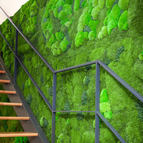 Stabilisierter vertikaler Garten - BASIC MOSS - Greenarea - Polster Moos / für den Innenraum / bioklimatisch