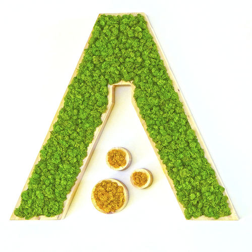 Stabilisierter Pflanzrahmen - MOSS IDENTITY - Greenarea - Flechte / für den Innenraum / maßgefertigt