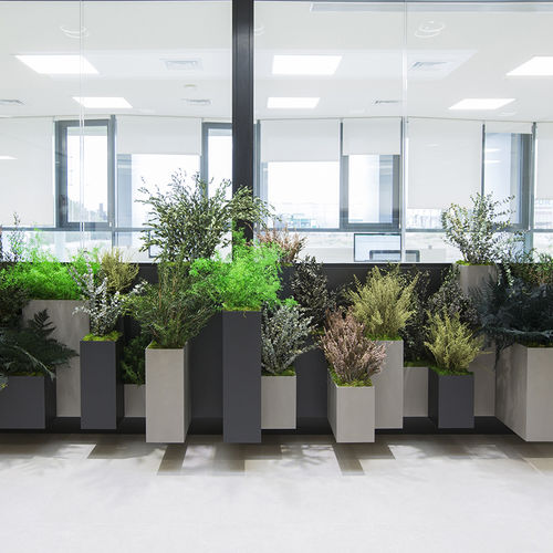 Stabilisierte Zierpflanze - MOSS&amp;PLANTS PLANTERS - Greenarea - kleinformatig / mittelgroß / großformatig