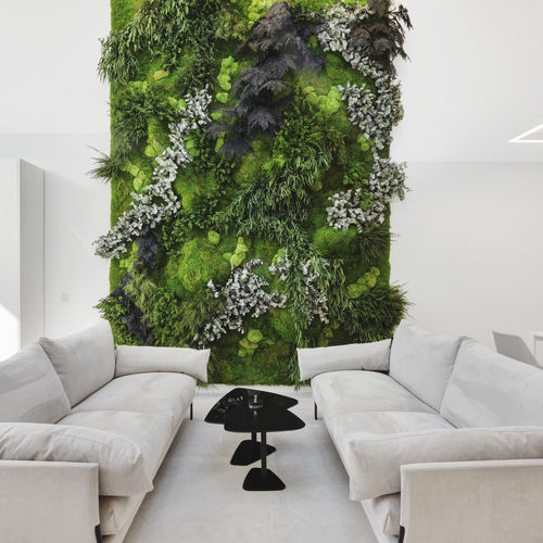 Stabilisierte Wandbegrünung - MOSS&PLANTS MID - Greenarea - modulare Platte / kundenspezifisch / dichtes Blattwerk