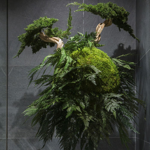 Stabilisierte Zierpflanze AVATARS Greenarea Kugeln