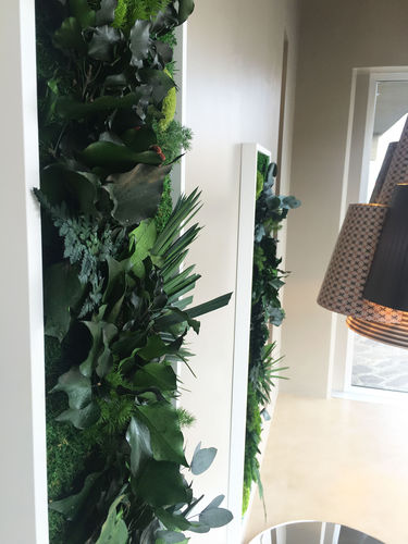 Stabilisierter Pflanzrahmen - PAINTINGS VEGETAL - BM PIANTE