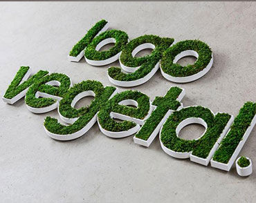 Stabilisierter Pflanzrahmen - PERSONALIZED LOGOS IN MOSS - BM PIANTE STABILIZZATE - Polster Moos / natürlich / für den Innenraum