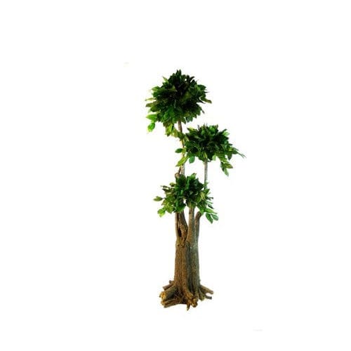 Stabilisierte Zierpflanze - SALAL - Végétal Indoor - Bonsai / großformatig / für den Innenraum