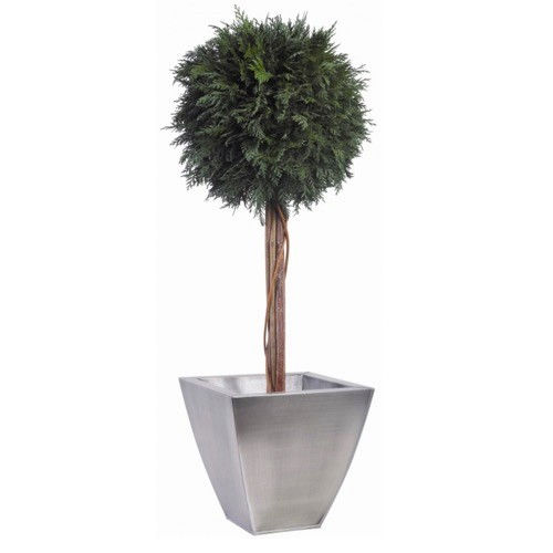 Stabilisierte Zierpflanze - TOPIAIRE BOULE DE THUYA - Végétal Indoor - Kugeln / großformatig / für den Innenraum