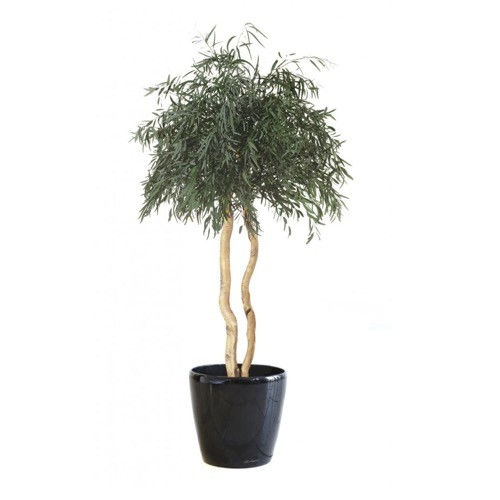 Stabilisierte Zierpflanze - NICOLY SUR TIGE - Végétal Indoor - Eukalyptus / großformatig / für den Innenraum