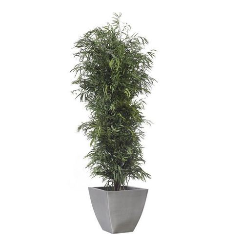 Stabilisierte Zierpflanze - NICOLY - Végétal Indoor - Eukalyptus / großformatig / für den Innenraum