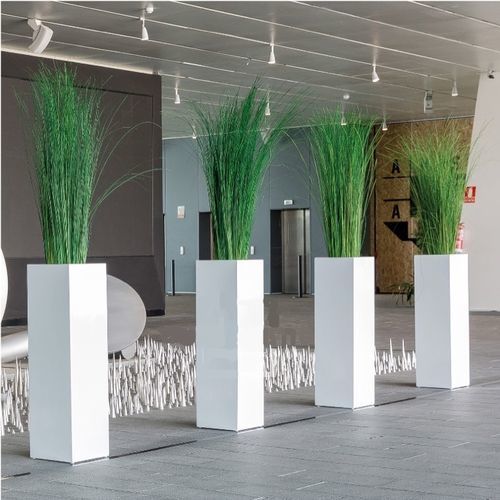 Stabilisierte Zierpflanze SGI/0112 Végétal Indoor großformatig