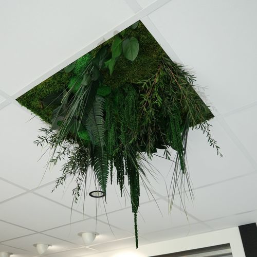 Begrünte Zwischendecke - Relief - Végétal Indoor - PET / aus Fliesen / für den Innenraum
