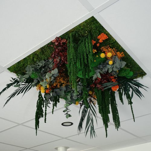 Begrünte Zwischendecke - Orange - Végétal Indoor - PET / aus Fliesen / für den Innenraum