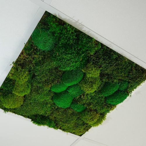 Begrünte Zwischendecke - Mix Mousse - Végétal Indoor - PET / aus Fliesen / für den Innenraum