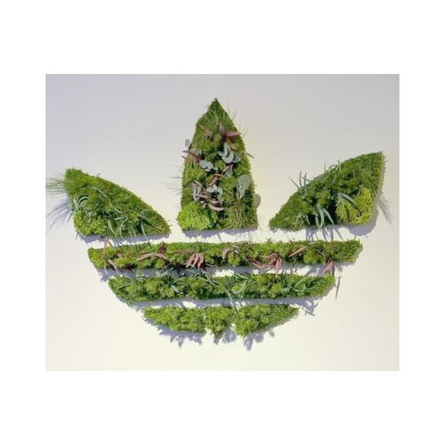 Stabilisierter Pflanzrahmen - STABILIZED LOGO - PLANTE STABILISEE - natürlich / Flechte / Blumen