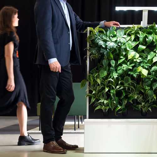 Stabilisierte Wandbegrünung - FLOW DUO - NAAVA - modulare Platte / natürlich / für den Innenraum