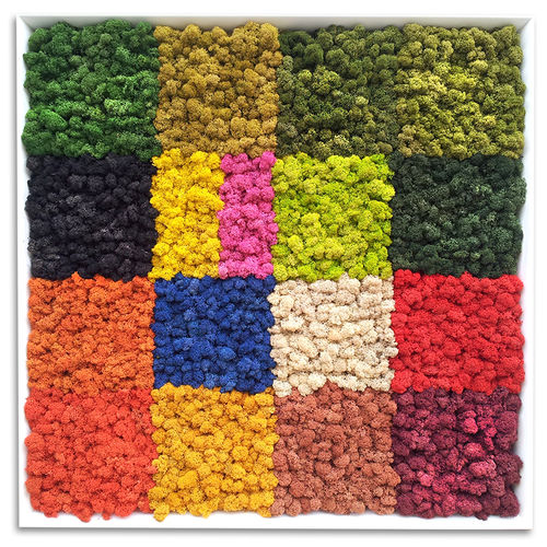 Stabilisierter Pflanzrahmen - PATCHWORK - LinfaDecor - natürlich / Flechte / für den Innenraum