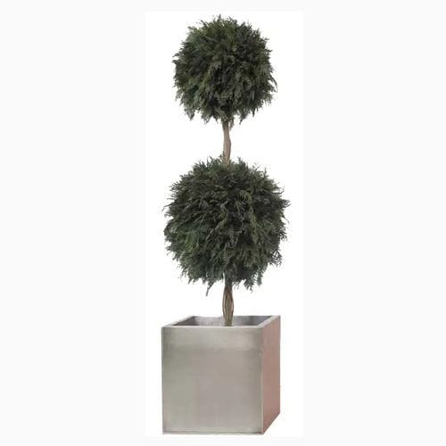 Stabilisierte Zierpflanze GREEN THUJA DOUBLE TOPIARY LinfaDecor
