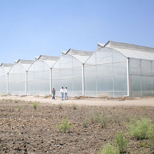 Gewächshaus für Gewerbegebrauch - GOTHIC  - ULMA Agricola - botanisch / für Hobbygärten / für Produktionszwecke