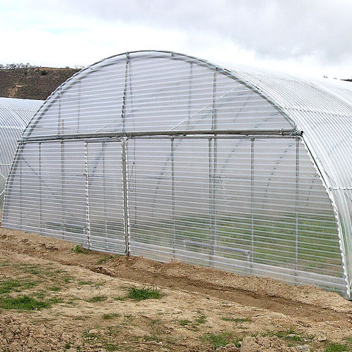Gewächshaus für Gewerbegebrauch - TUNNEL  - ULMA Agricola - für Hobbygärten / für Produktionszwecke / Einfachtunnel